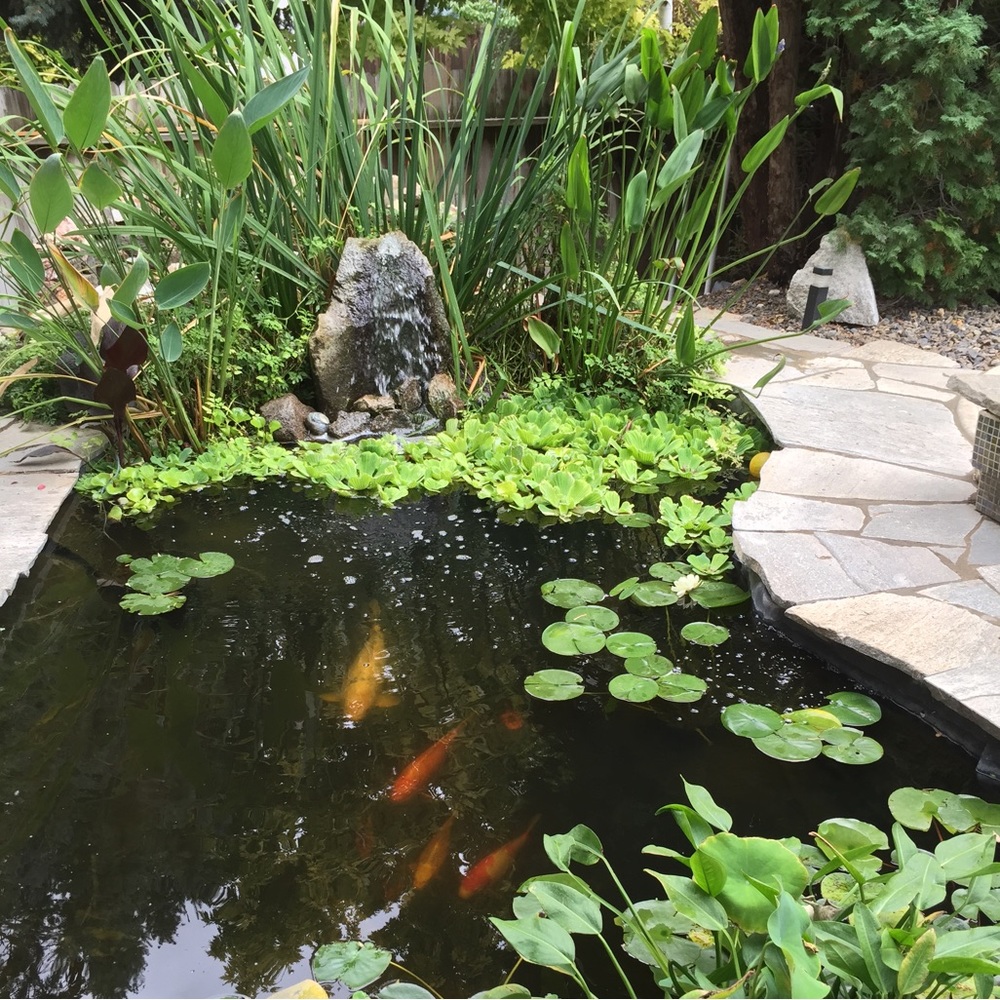 Meet your Posher, JKFun79